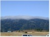 GLOBAL AIR POLLUTION AND FOREST HEALTH NOTES