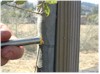 GLOBAL AIR POLLUTION AND FOREST HEALTH NOTES