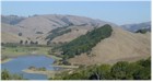 GLOBAL AIR POLLUTION AND FOREST HEALTH NOTES